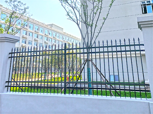 湖北荊州長江大學文理學院鋅鋼欄桿案例