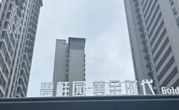 碧桂園黃金時(shí)代陽臺(tái)連廊護(hù)欄百葉窗柵欄樓梯扶手案例